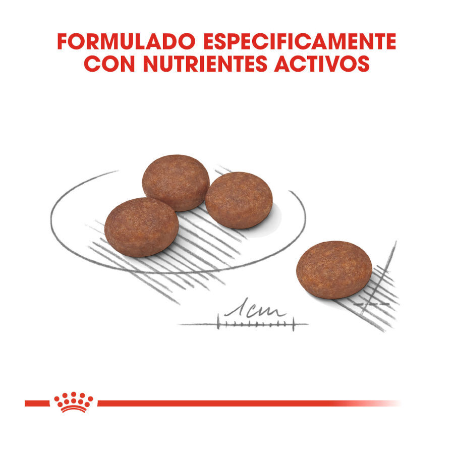 8 kg Royal Canin Digestive Care Mini pienso para perros, , large Imagen numero 4